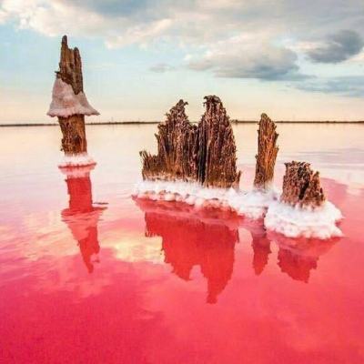 沧海传说bt服下载