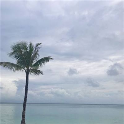 萌妖录手机版下载